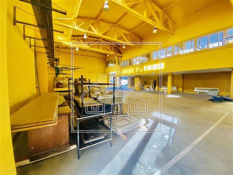 Spațiu industrial, de 1,000 mp, în Terezian