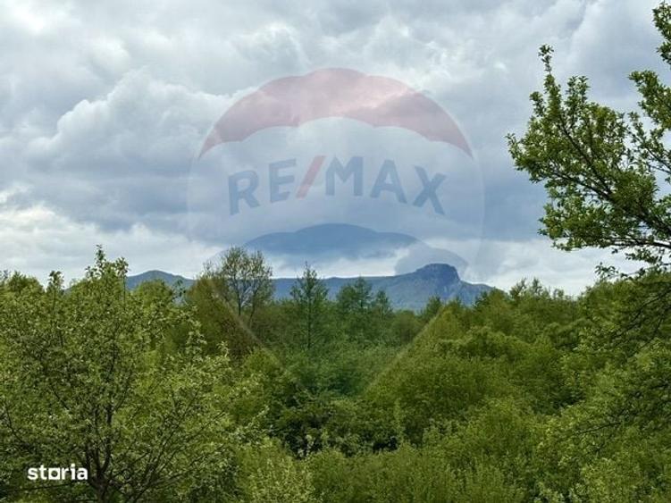 Spațiu comercial, în Breb