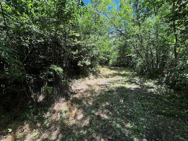 Teren de 6857 mp, în Bujoreni