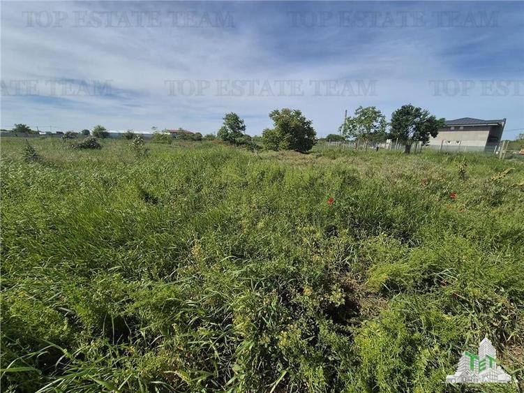Teren Construcții intravilan de 801 mp, în Viile Noi