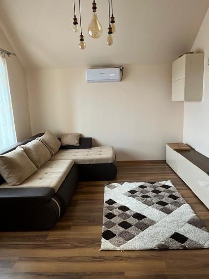 Apartament cu 2 camere semidecomandat, mobilat în Dumbrăvița