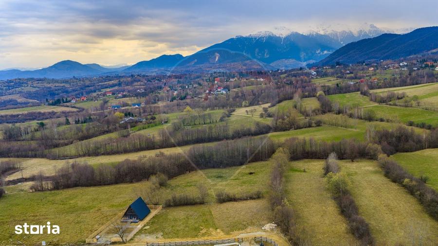 Teren de 480 mp, în Tohănița