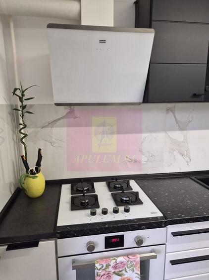 Apartament cu 2 camere decomandat, mobilat în Dobroești