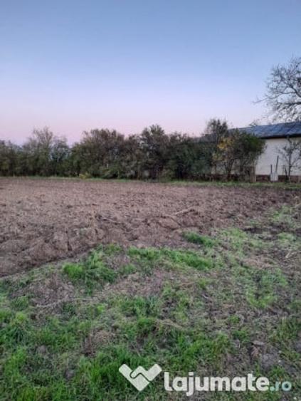 Teren de 1500 mp, în Plătărești