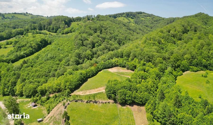 Teren de 16000 mp, în Holbav