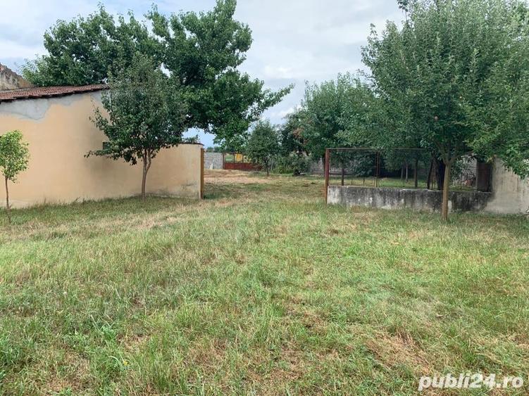 Casă cu 6 camere cu Teren 7805 Mp în Belinț
