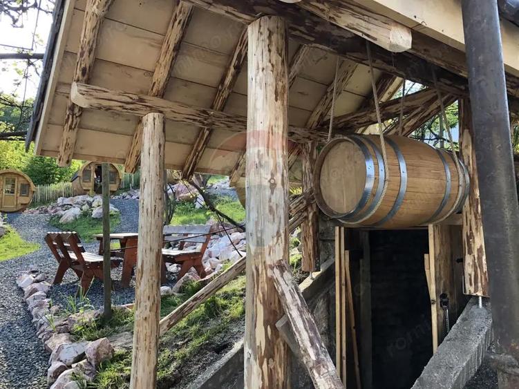 Casă cu 6 camere cu Teren 3900 Mp în Mediaș