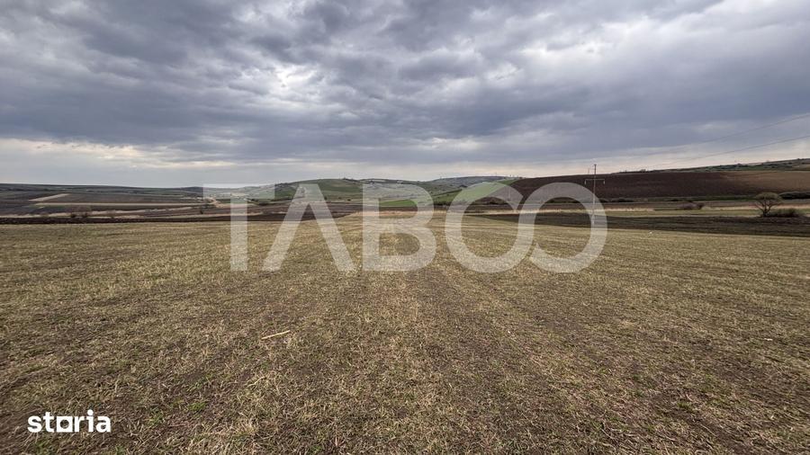 Teren de 24000 mp, în Șura Mare