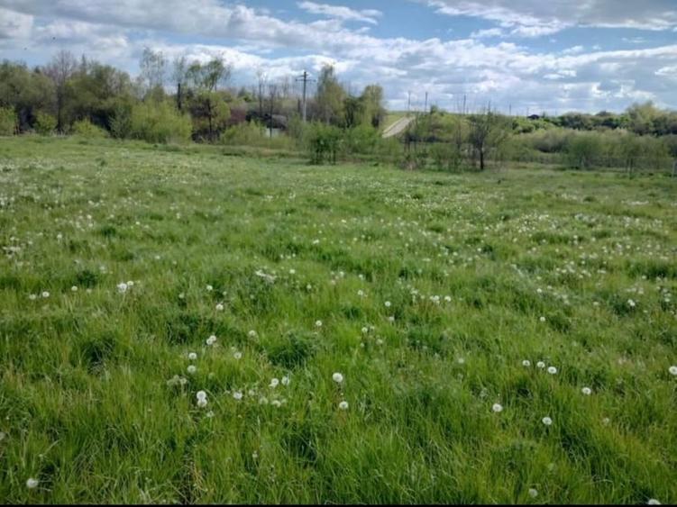 Teren Construcții intravilan de 1000 mp, în Exterior Vest