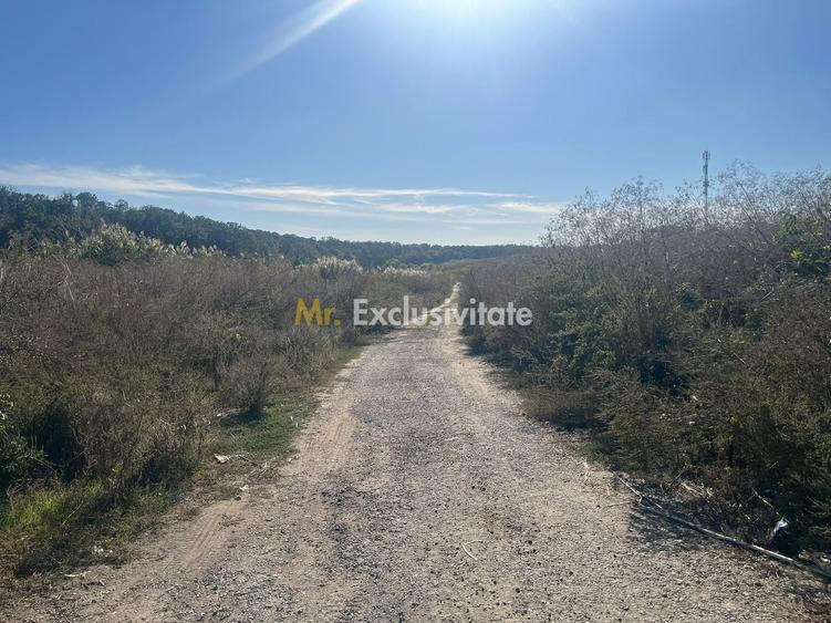 Teren agricol intravilan de 3521 mp, în Găneasa