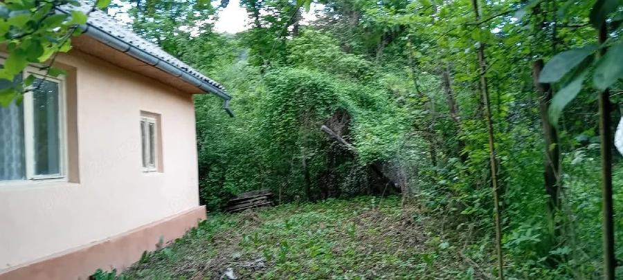 Casă cu 3 camere cu Teren 400 Mp în Central