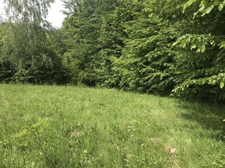 Teren Construcții extravilan de 14600 mp, în Albeștii de Muscel