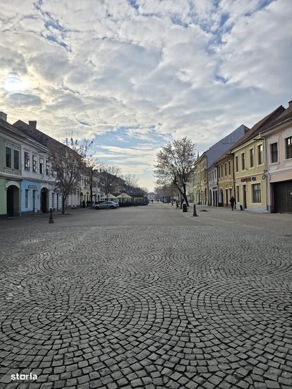 Spatiu comercial de inchiriat Ultracentral Bistrita - 12