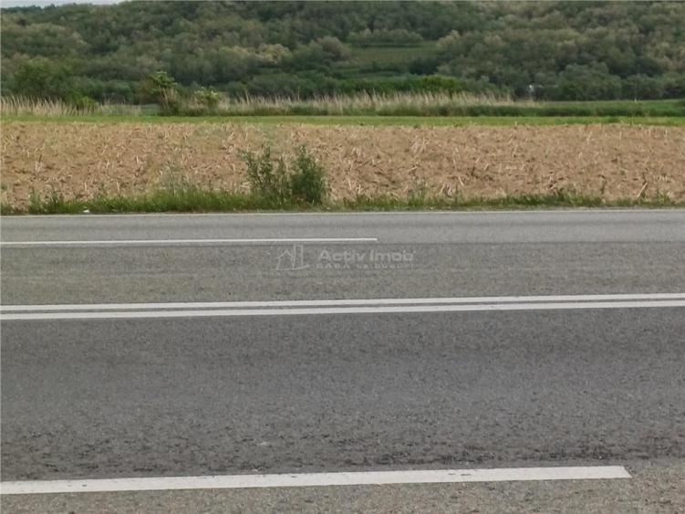 Teren de la 50 m de sensul Giratoriu Vestem - 8