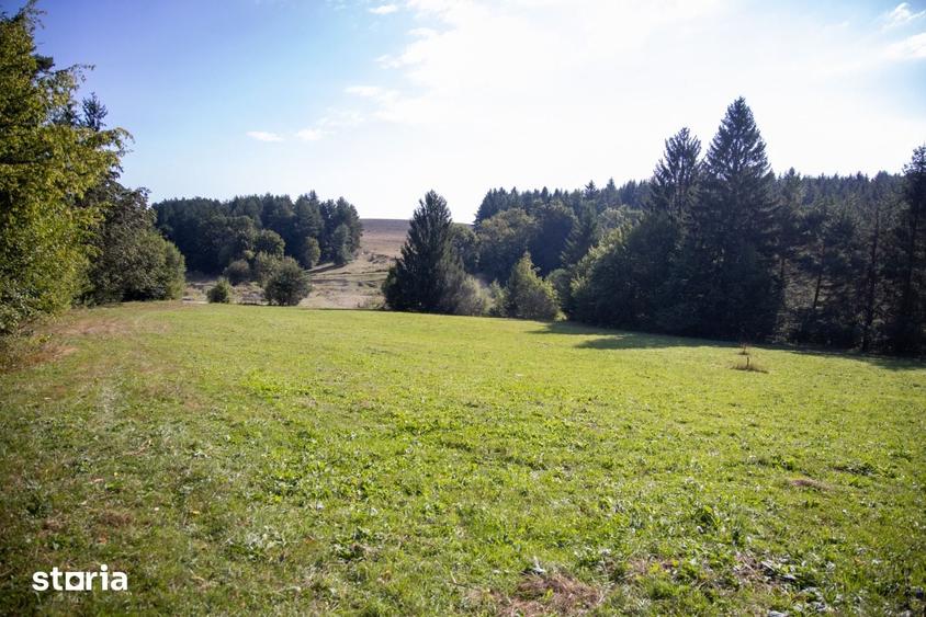 Teren de 6800 mp, în Vulcan