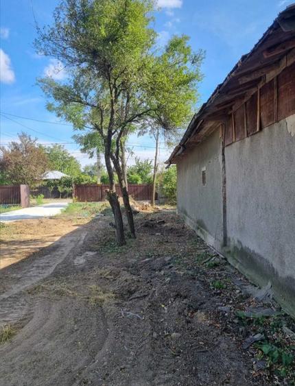 Teren Construcții intravilan de 500 mp, în Bâldana