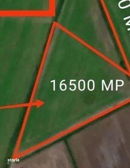 Teren de 16500 mp, în Ciupercenii Noi