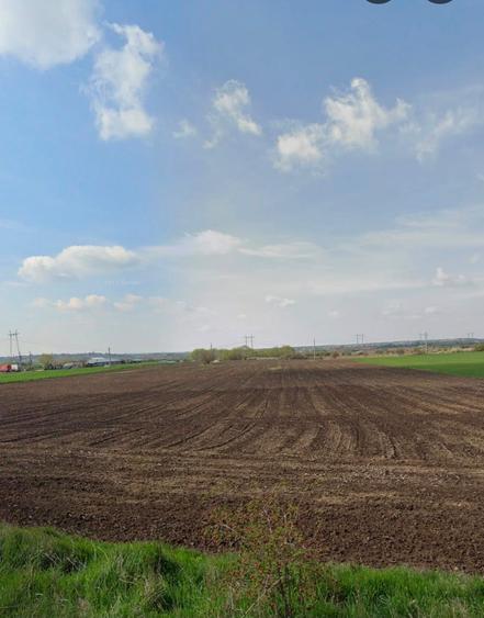 Teren Construcții intravilan de 33700 mp, în Gorneni
