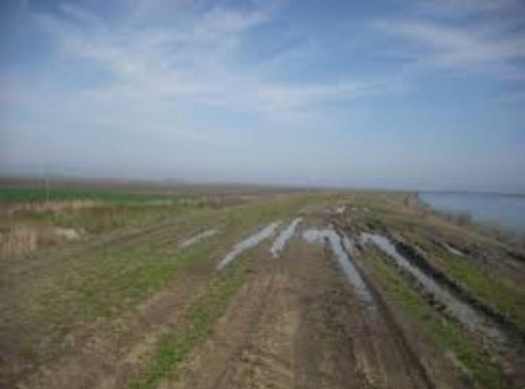 12,8 ha terenuri agricole la Castranova judetul Dolj - 1