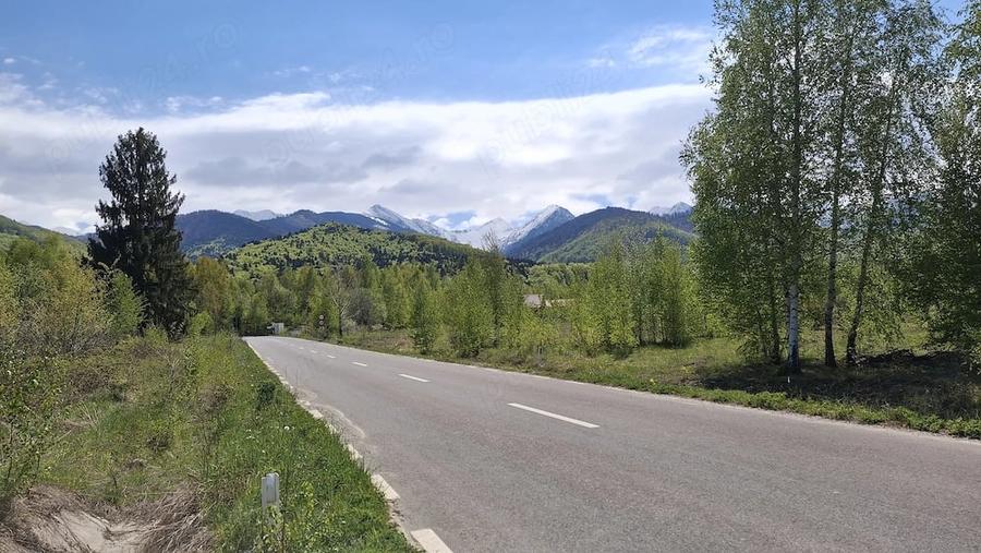 Teren de 3200 mp, în Viștișoara