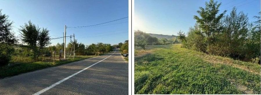 Teren partial intravilan Romani, judetul Neamt, ID: R2326723 - 4