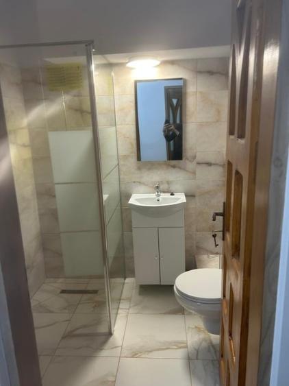 Apartament cu 2 camere decomandat, mobilat în Bălcescu