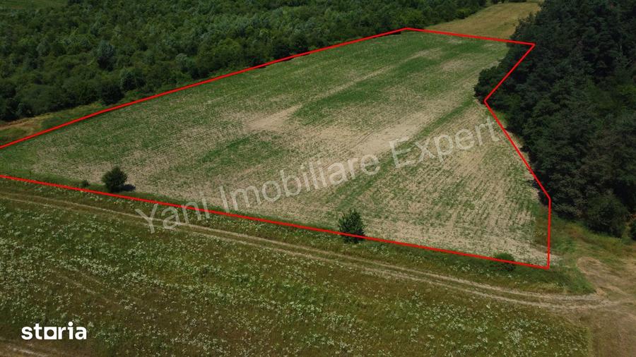 Teren de 11000 mp, în Băiculești