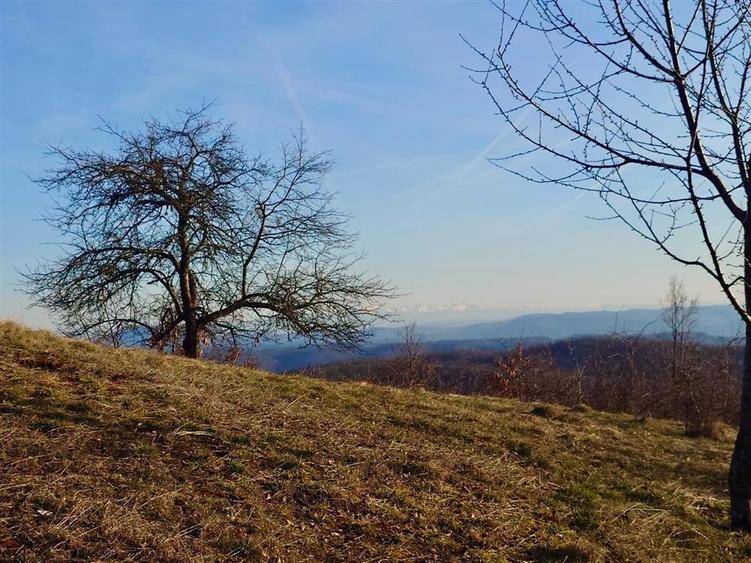 Teren extravilan de 2599 mp, în Vălișoara