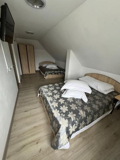Hotel/Pensiune, de 450 mp, în Aluniș