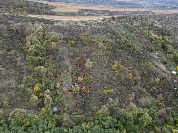 Teren de 18300 mp, în Ghioroc
