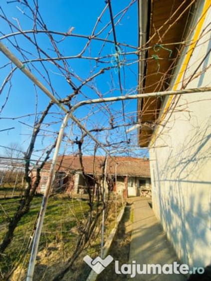 Casa pe parter, 2.753 mp teren, Marotinu de Sus, Celaru - 9