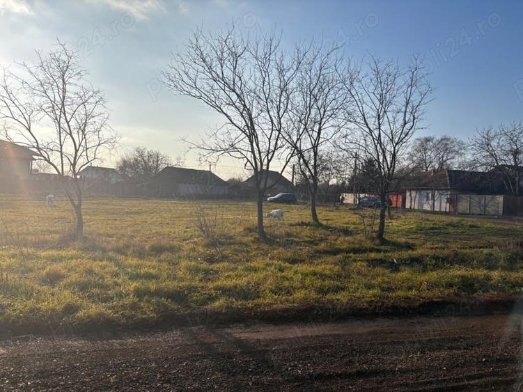 Teren de 980 mp, în Giarmata