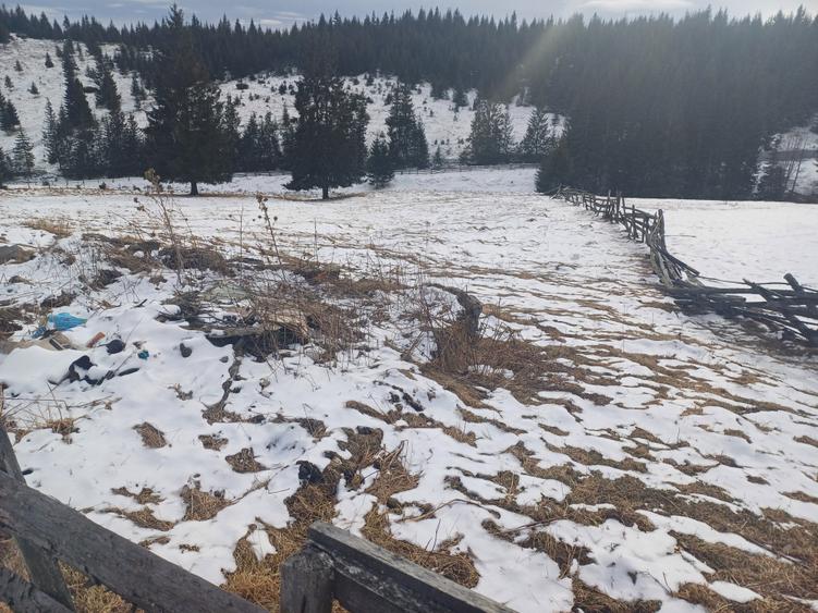 Teren agricol intravilan de 10900 mp, în Măguri-Răcătău