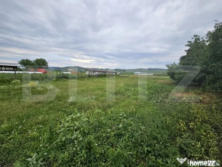 Casă cu 3 camere cu Teren 2698 Mp în Cistei