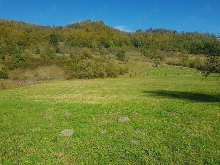 Teren de 4500 mp, în Ciucea