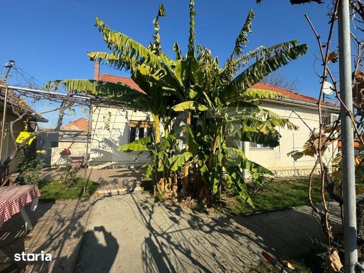 Casă cu 3 camere cu Teren 3500 Mp în Nufărul