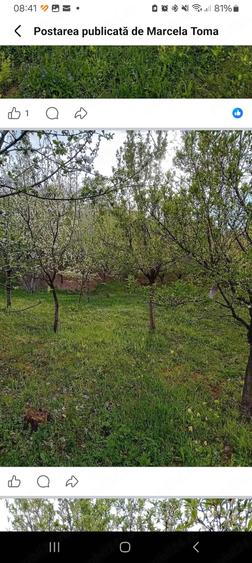 Teren de 5800 mp, în Central