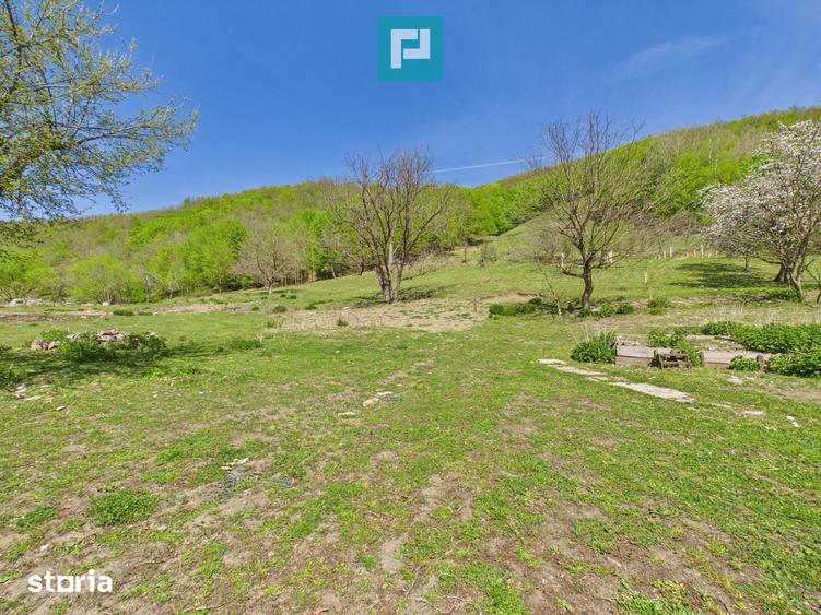 Teren de 6837 mp, în Luncoiu de Jos