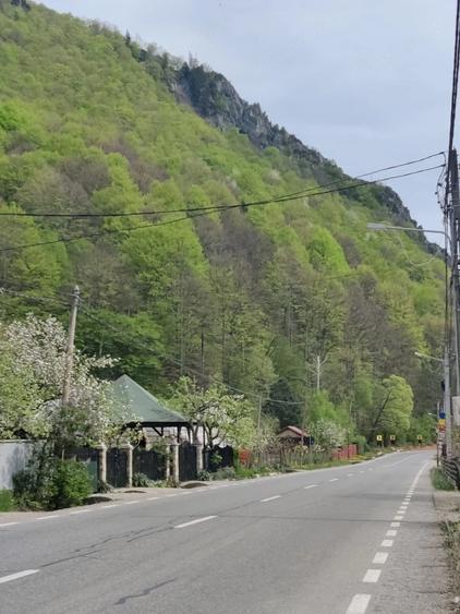 Teren de 1700 mp, în Lepșa