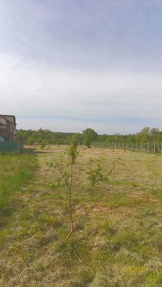 Teren de 550 mp, în Tăuții-Măgherăuș