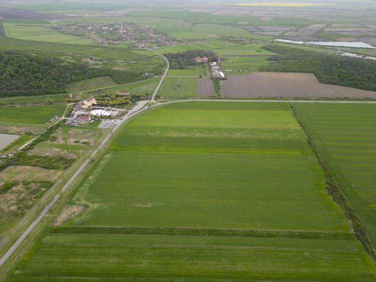 Teren agricol extravilan de 22500 mp, în Sud-Vest
