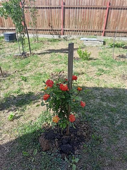 Casă cu Teren 86 Mp în Buturugeni