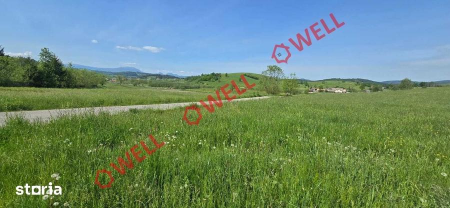 Teren de 3267 mp, în Barcani