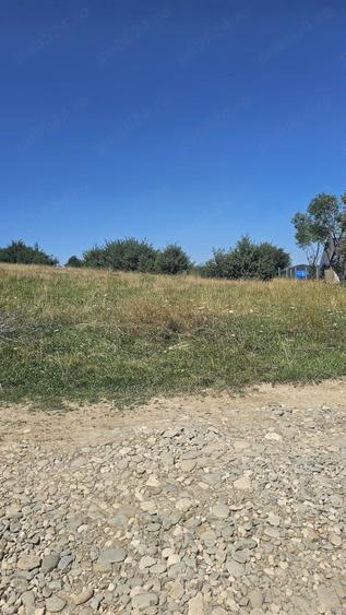 Teren de 2200 mp, în Tohănița