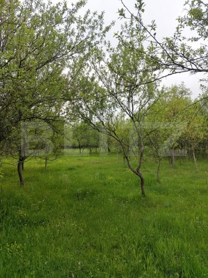 Teren agricol extravilan de 6500 mp, în Ulieș