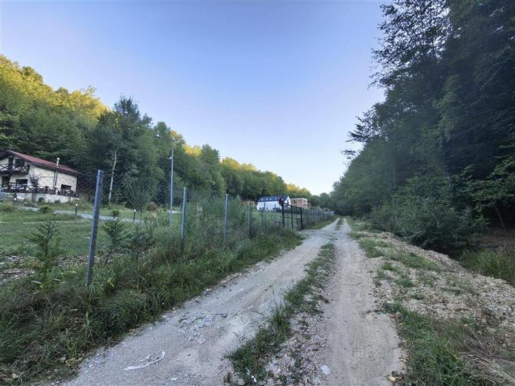 Teren agricol intravilan de 1000 mp, în Cisnădioara