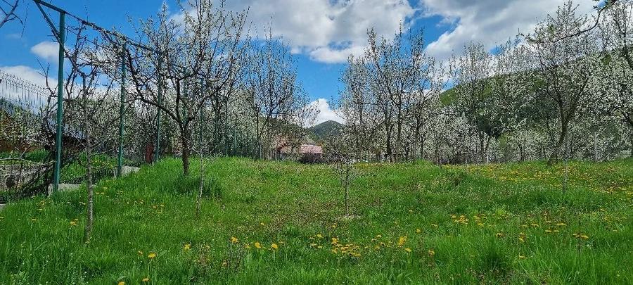 Teren de 1087 mp, în Corbu (Cătina)