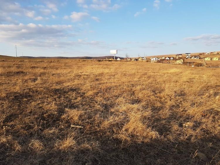 Teren Construcții intravilan de 33000 mp, în Calea Romanului