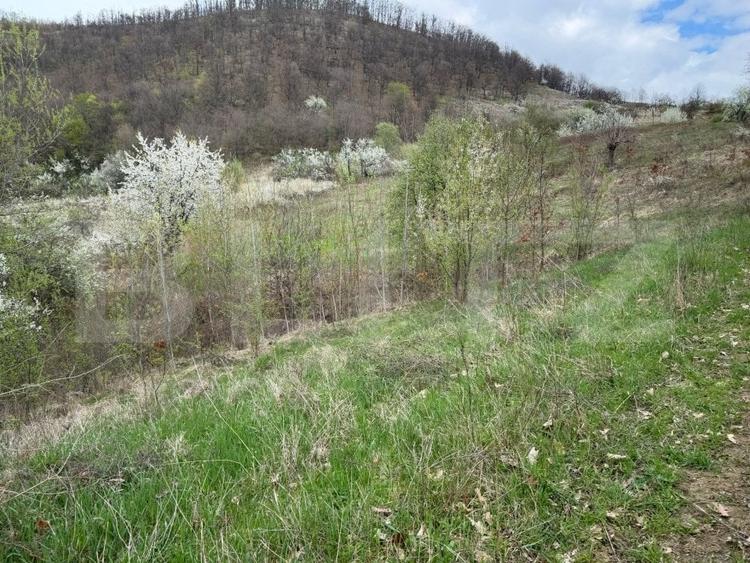 Teren extravilan de 170663 mp, în Periferie