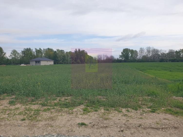 Teren în Măgurele